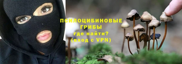 шишки Верхнеуральск