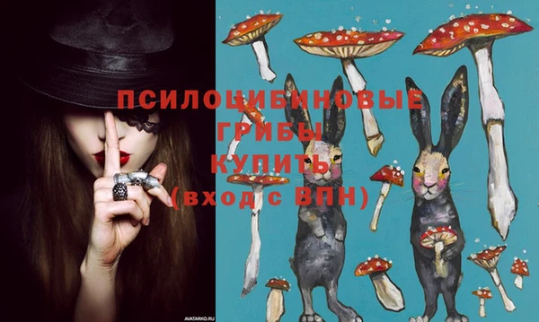 стафф Верея