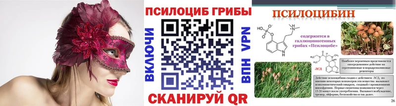 МЕГА ссылка  Северобайкальск  Псилоцибиновые грибы GOLDEN TEACHER  наркошоп 